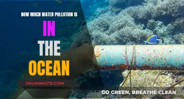 Ocean's Hidden Crisis: Unveiling Water Pollution's Impact