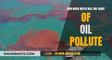 One Quart of Oil: The Surprising Water Pollution Impact