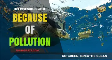 Pollution's Devastating Impact on Wildlife