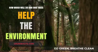 Planting 20 Million Trees: Environmental Impact and Global Benefits Explained