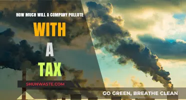 Pollution Tax: The True Cost of Company Emissions