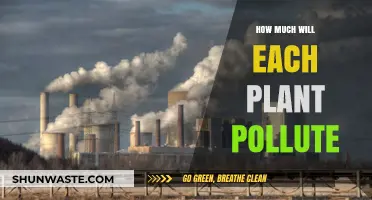 Plants: The Unspoken Polluters