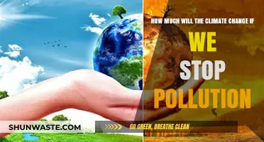 Climate Change: A Pollution-Free Future