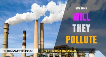 The Impact of Human Activity: Pollution's Future
