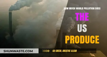 US Pollution: Global Impact and Responsibility