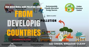 Developing Countries: Major Sources of Global Pollution