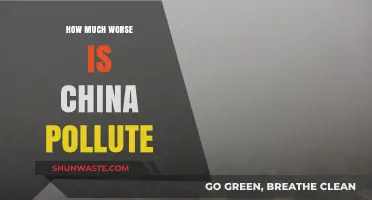 China's Pollution Crisis: How Bad Is It?