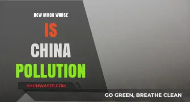 China's Pollution Crisis: How Bad is it?