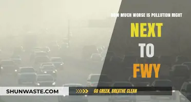 Living Near a Freeway: Pollution's Deadly Impact