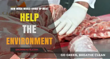 Cutting Meat: A Powerful Step to Reduce Environmental Impact