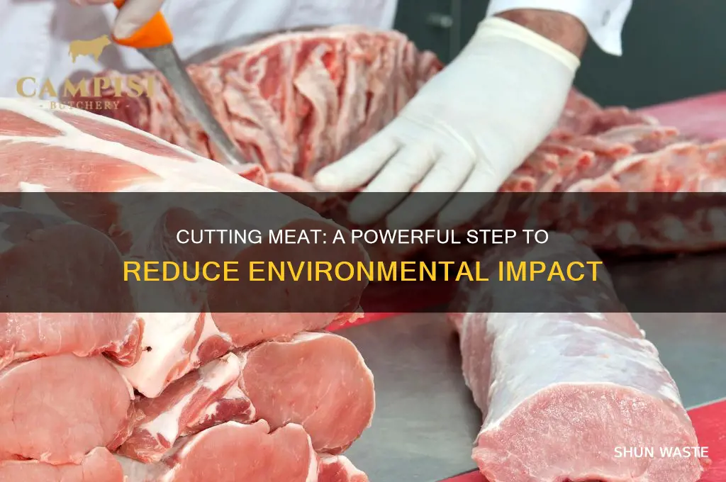 how much would giving up meat help the environment
