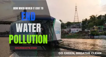 The Price of Clean Water: A Global Effort to End Pollution