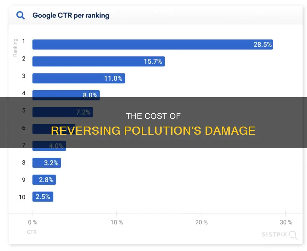 how much would it could it cost to repair pollution
