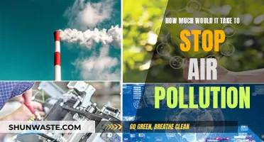 Eradicating Air Pollution: What's the Price Tag?