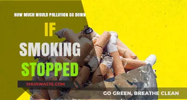 Smoking Cessation: Impact on Pollution Levels