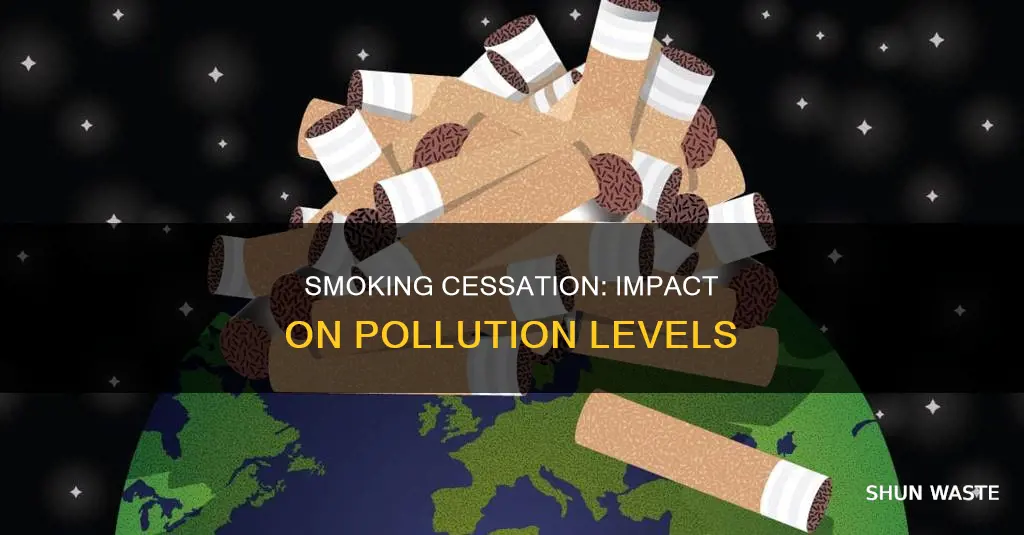 how much would pollution go down if smoking stopped