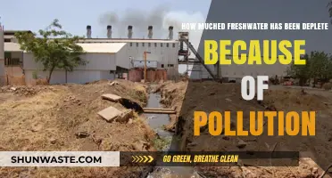 The World's Freshwater Crisis: Pollution's Impact