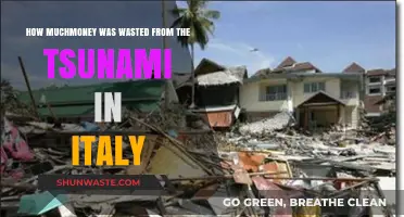 Italy Tsunami Aftermath: Financial Losses and Wasted Resources Analyzed