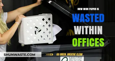 Reducing Office Waste: The Shocking Amount of Paper Offices Discard Daily