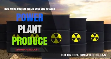 Nuclear Power Plant Waste Output: Understanding Annual Production Levels