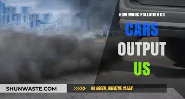 Cars: Understanding Their Pollution Output