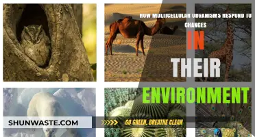 Environmental Adaptation: How Multicellular Organisms Respond to Change