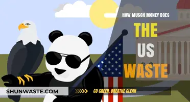 America's Wasteful Spending: Uncovering the Shocking Cost of Inefficiency