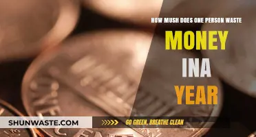 Annual Money Waste: How Much Does One Person Squander Yearly?