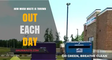 Daily Waste Crisis: Shocking Amounts Thrown Out Every 24 Hours