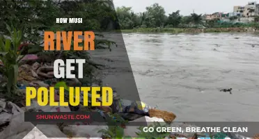 Musi River Pollution: Understanding the Crisis