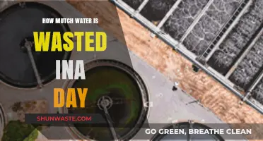 Daily Water Waste: Shocking Amounts and How to Reduce It