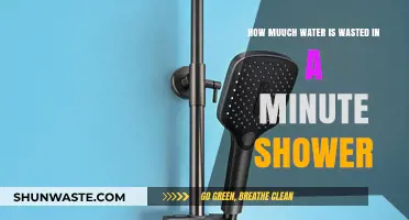 Shocking Water Waste: How Much a Minute Shower Really Costs