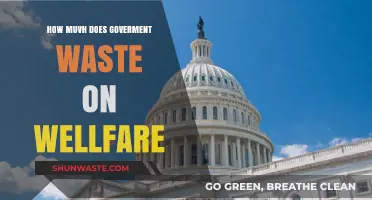 Government Welfare Spending: Uncovering the Extent of Waste and Mismanagement