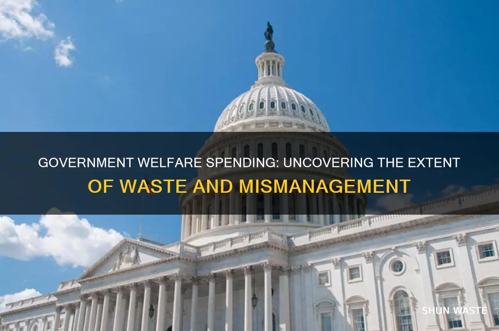 how muvh does goverment waste on wellfare