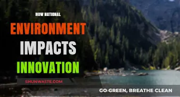 National Environment's Role in Shaping Innovation and Economic Growth