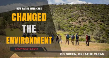 Native American Land Management: Shaping Ecosystems and Transforming Environments