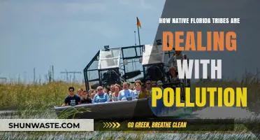 Native Tribes' Resilience Against Florida's Pollution