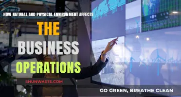 Environmental Impact: How Nature and Geography Shape Business Operations