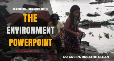 Environmental Impact of Natural Disasters: A Comprehensive PowerPoint Guide
