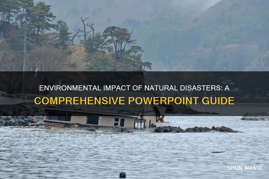 how natural disasters affect the environment powerpoint