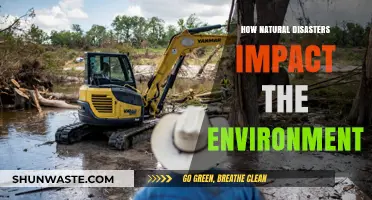 Natural Disasters: Unraveling Their Devastating Environmental Consequences and Impacts