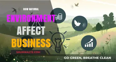 Nature's Impact: How the Environment Shapes Business Success and Strategy