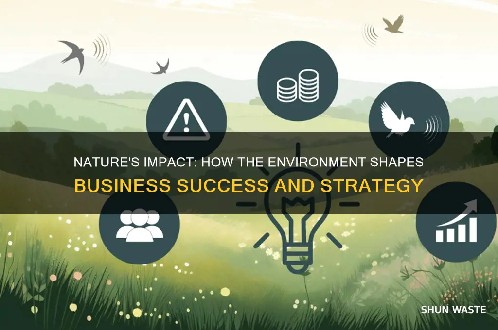 how natural environment affect business
