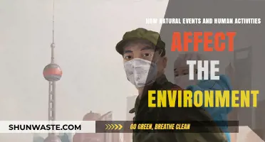 Human Impact and Natural Disasters: Shaping Our Fragile Environment