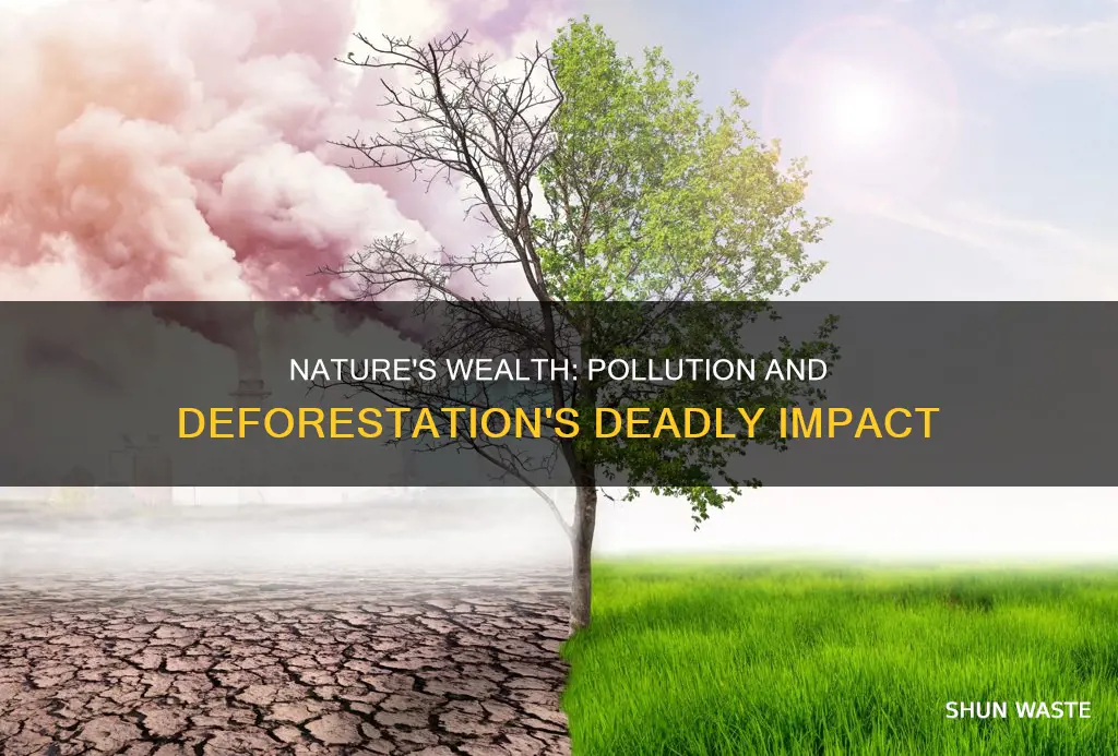 how natural resources are depleting because of pollution and deforestation