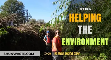 North Carolina's Green Initiatives: Transforming Environmental Sustainability