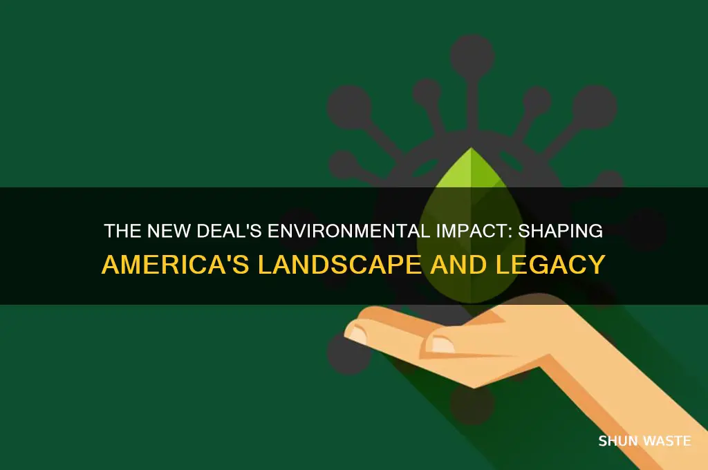 how new deal affected environment