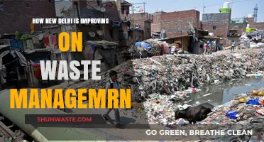New Delhi's Waste Management Revolution: Innovations and Progress