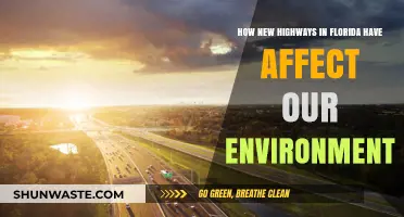 Florida's New Highways: Environmental Impacts and Ecosystem Challenges
