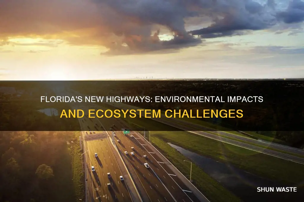 how new highways in florida have affect our environment